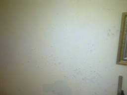 carrowcrory 6725.jpg
